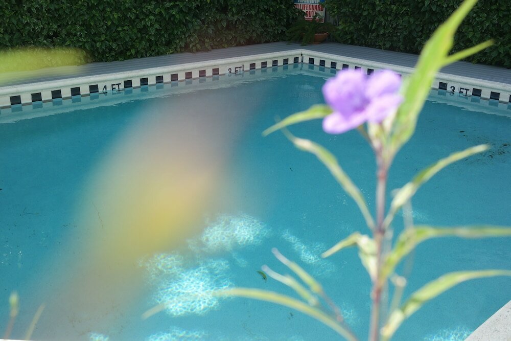 Фото Heron House Court - Adult Only