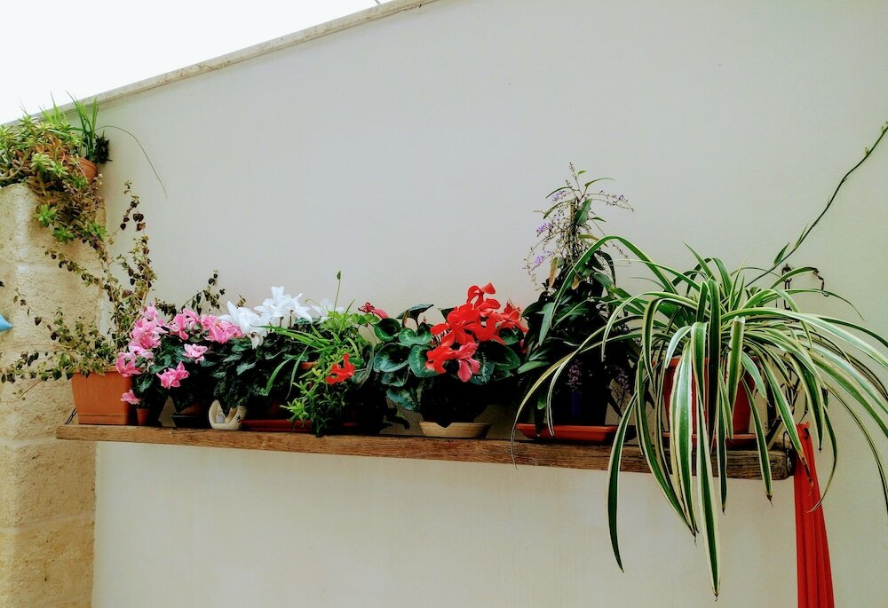 Фото Casa della Nonna