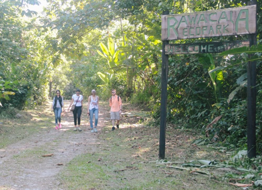 Фото Paraiso Rainforest and Beach Hotel