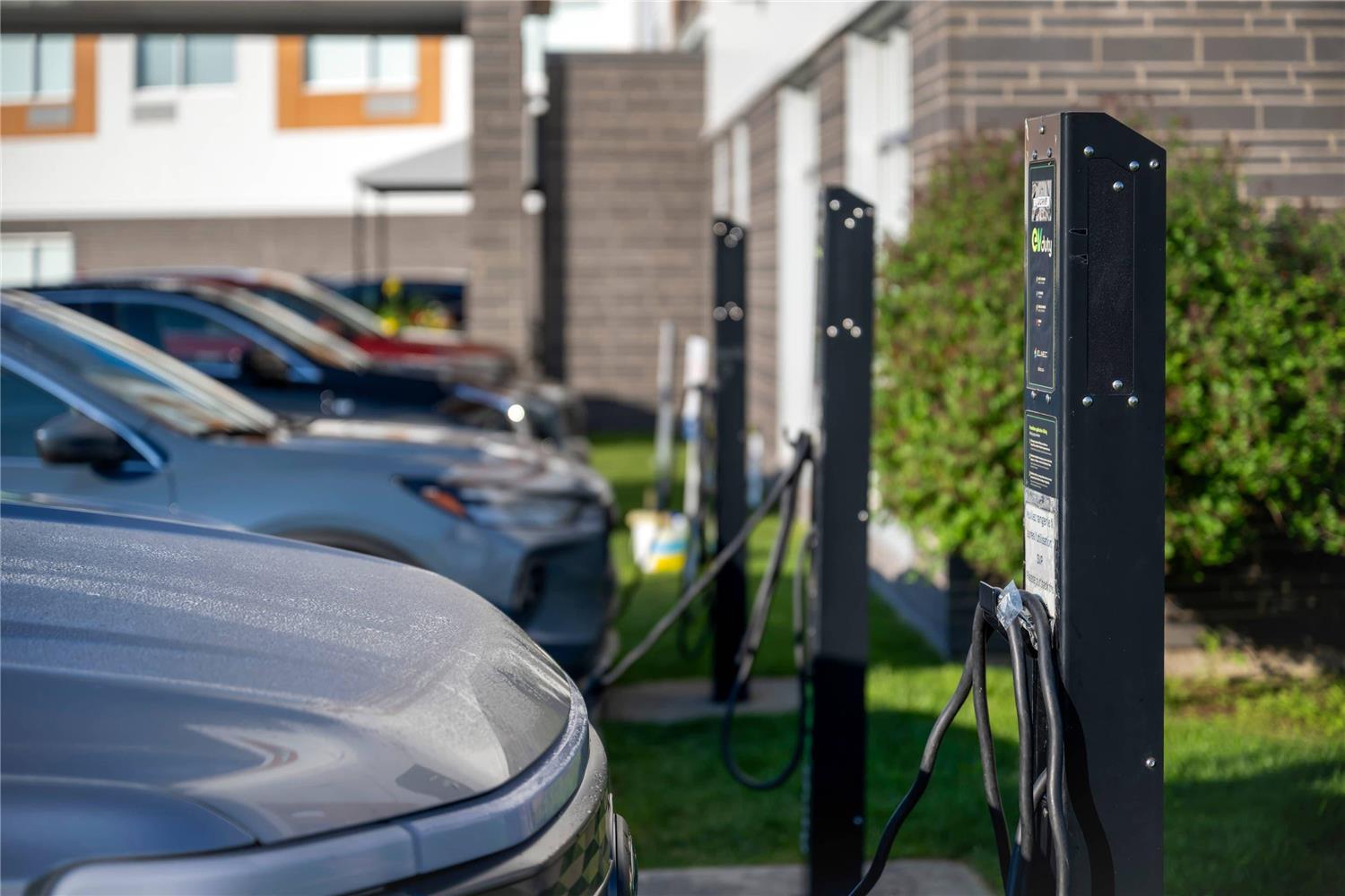 Фото Quality Inn & Suites