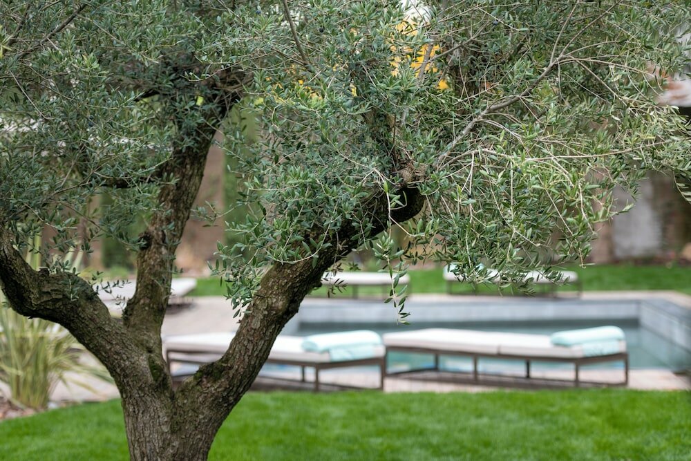 Фото Castel Hörtenberg