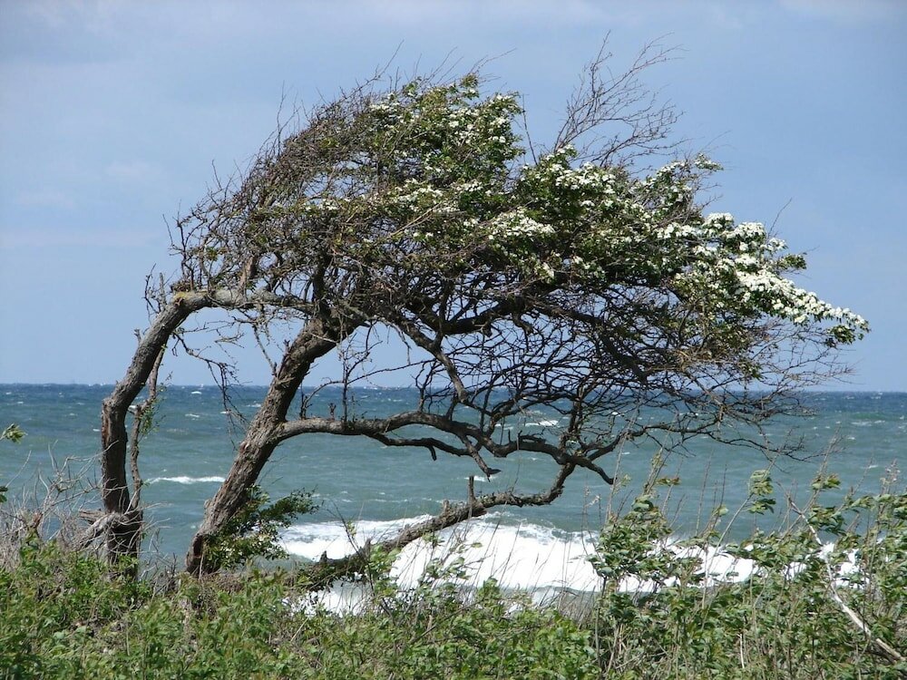 Фото Hotel Doberaner Hof