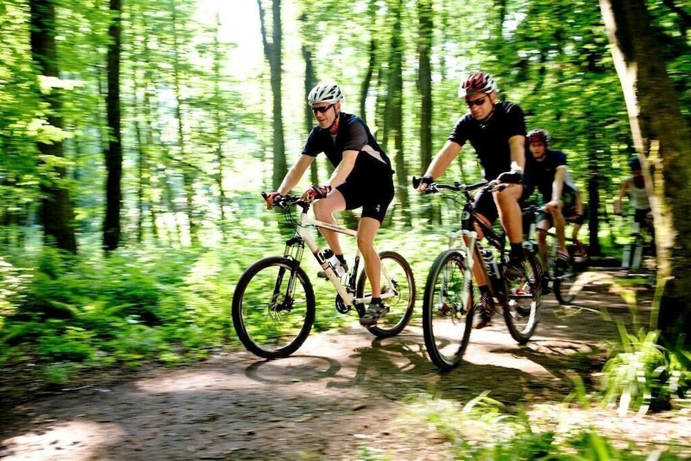 Фото Hotel Heinz