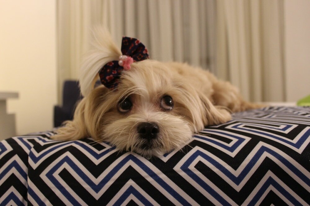 Фото Mural Living Hotel Manaus