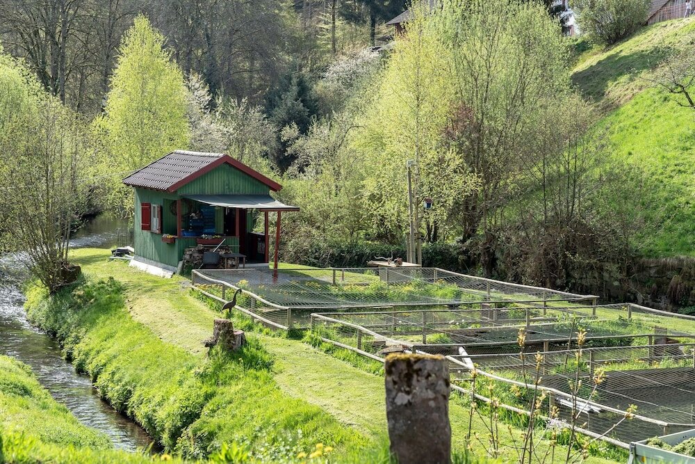 Фото Hotel Rössle Berneck