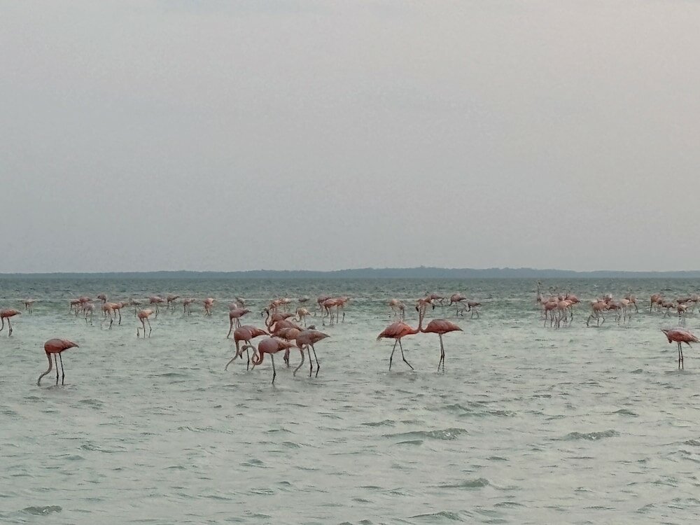 Фото La Diosa Kali Beach Front Hotel