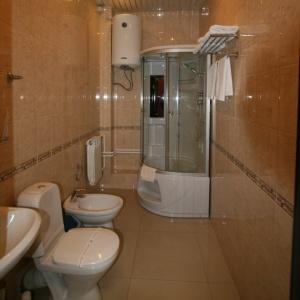 Фото Альбатрос