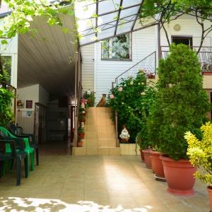 Фото Звёздочка