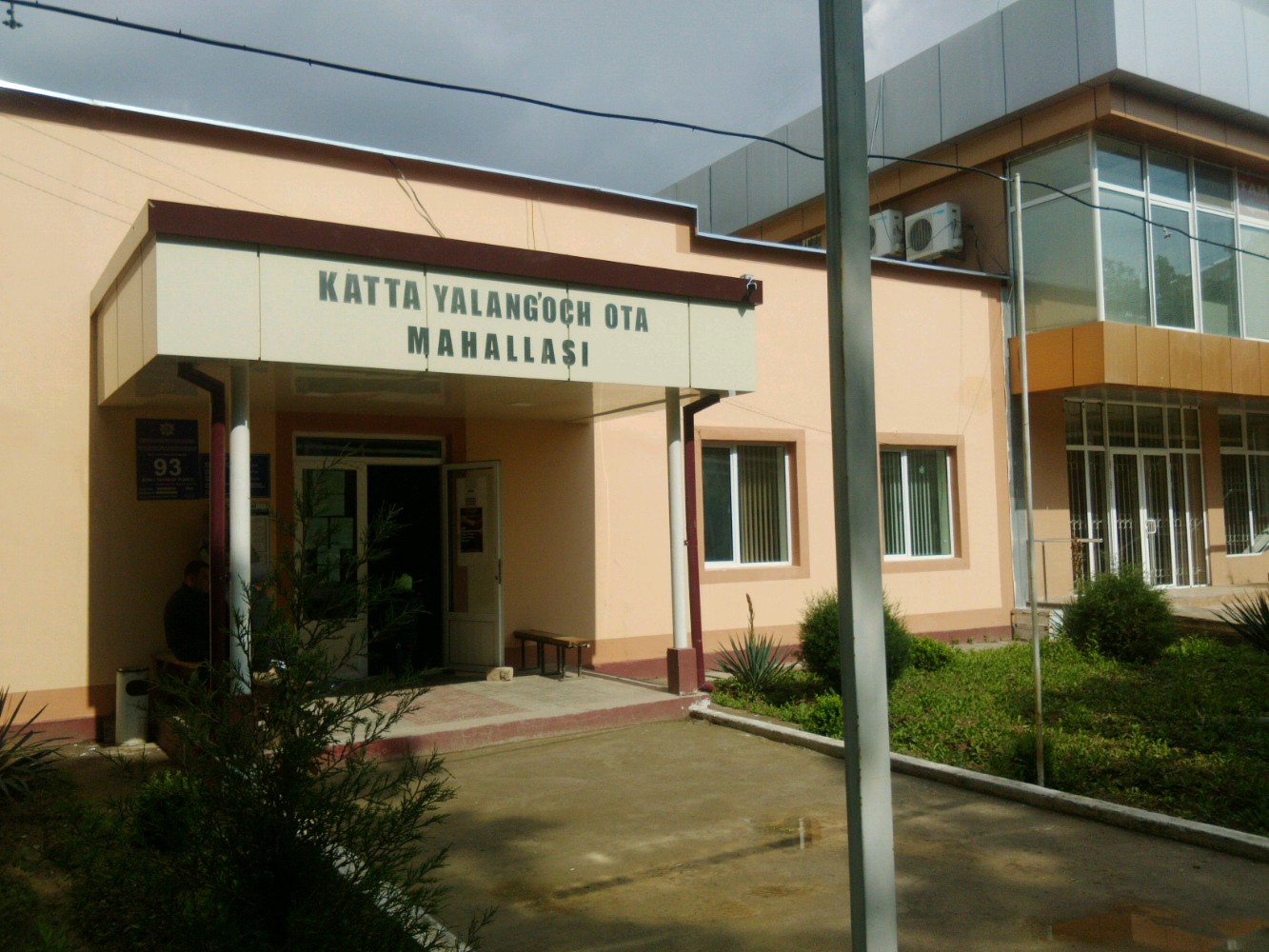 Katta dumbali xonimlarning fotosuratlari