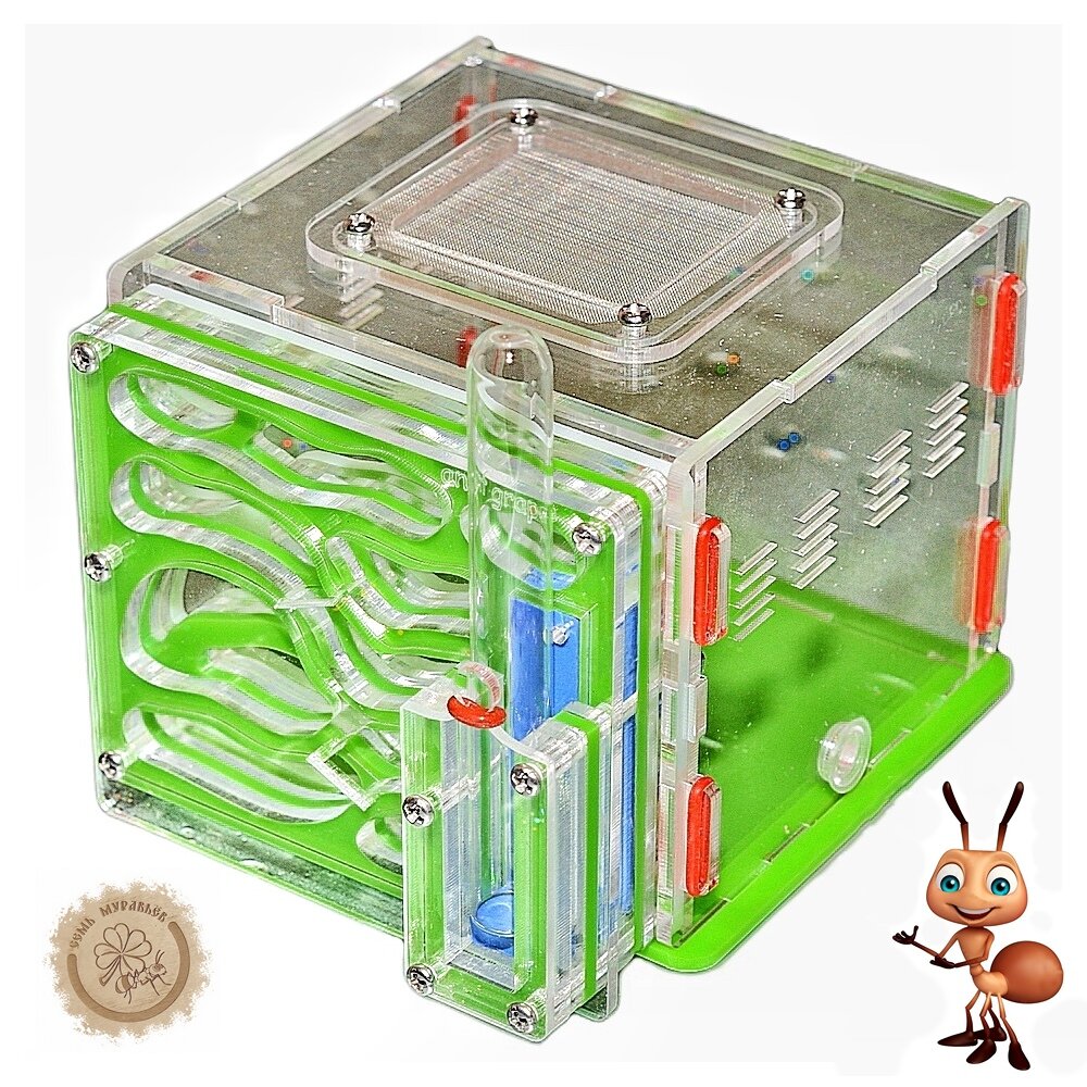 Как нарисовать муравьиную ферму с муравьями