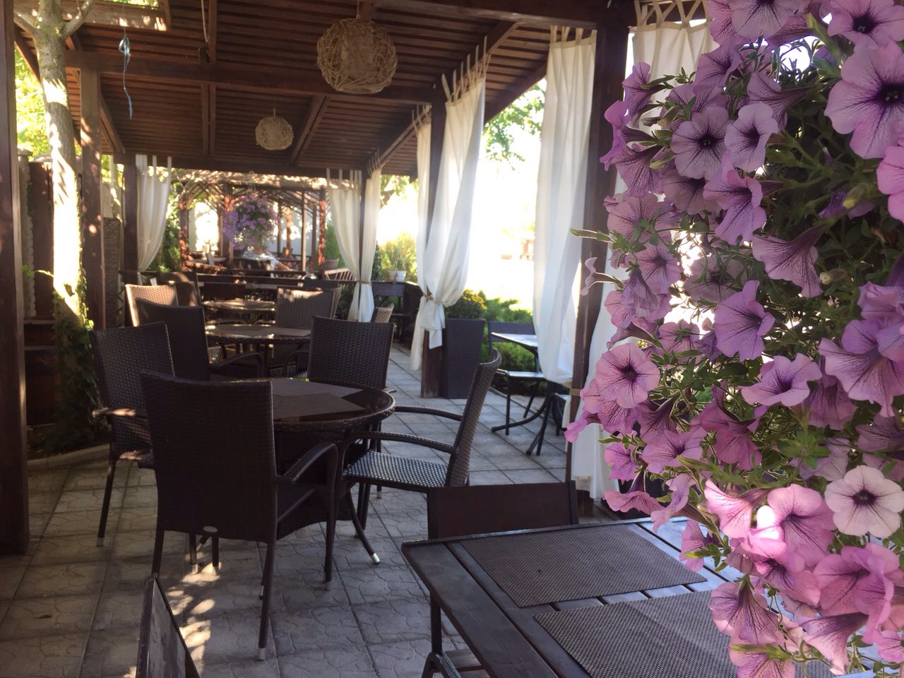 Фото Барракуда