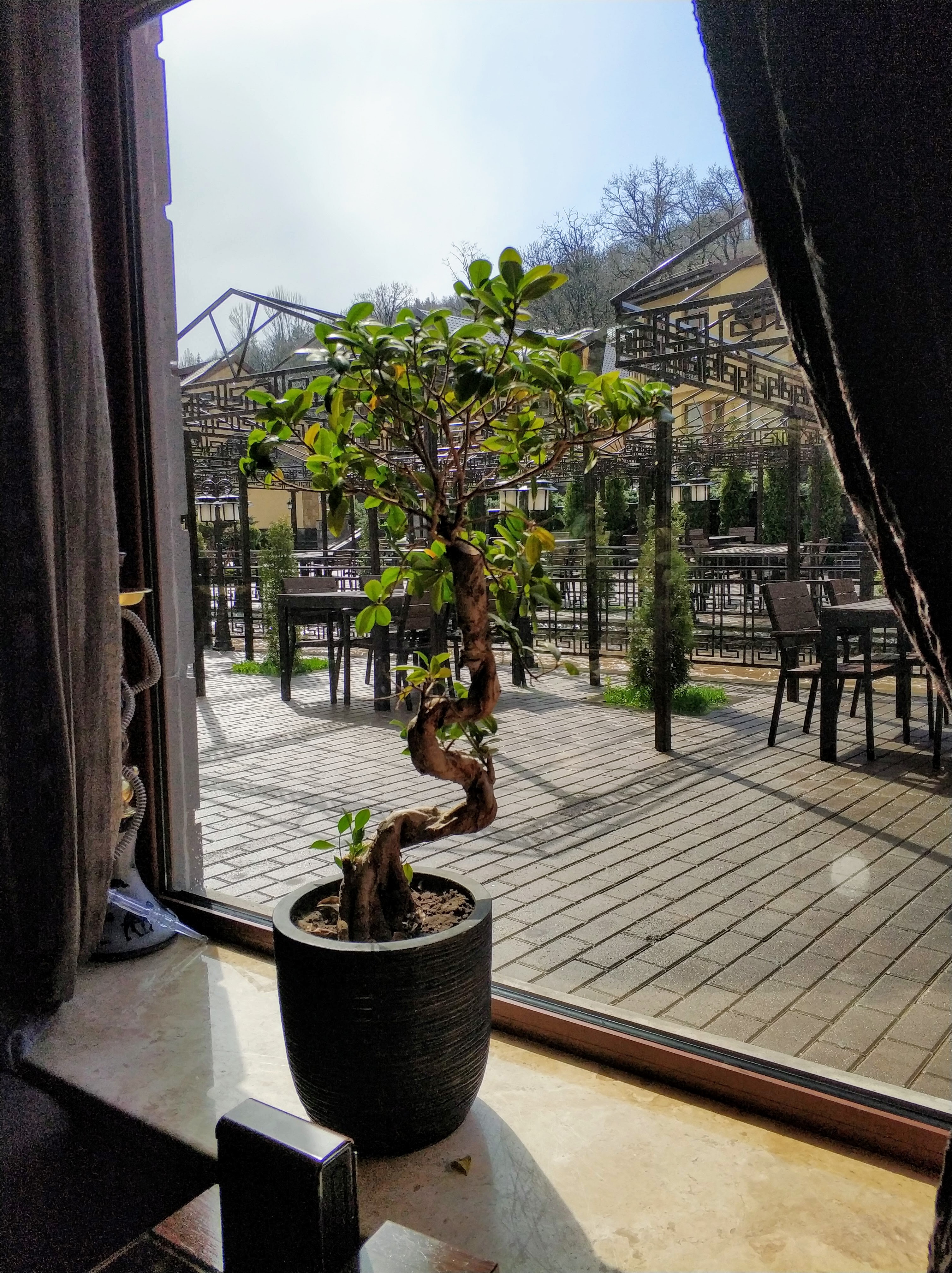 Фото Элегант