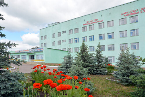 Больница для взрослых Шаранская центральная районная больница, Республика Башкортостан, фото