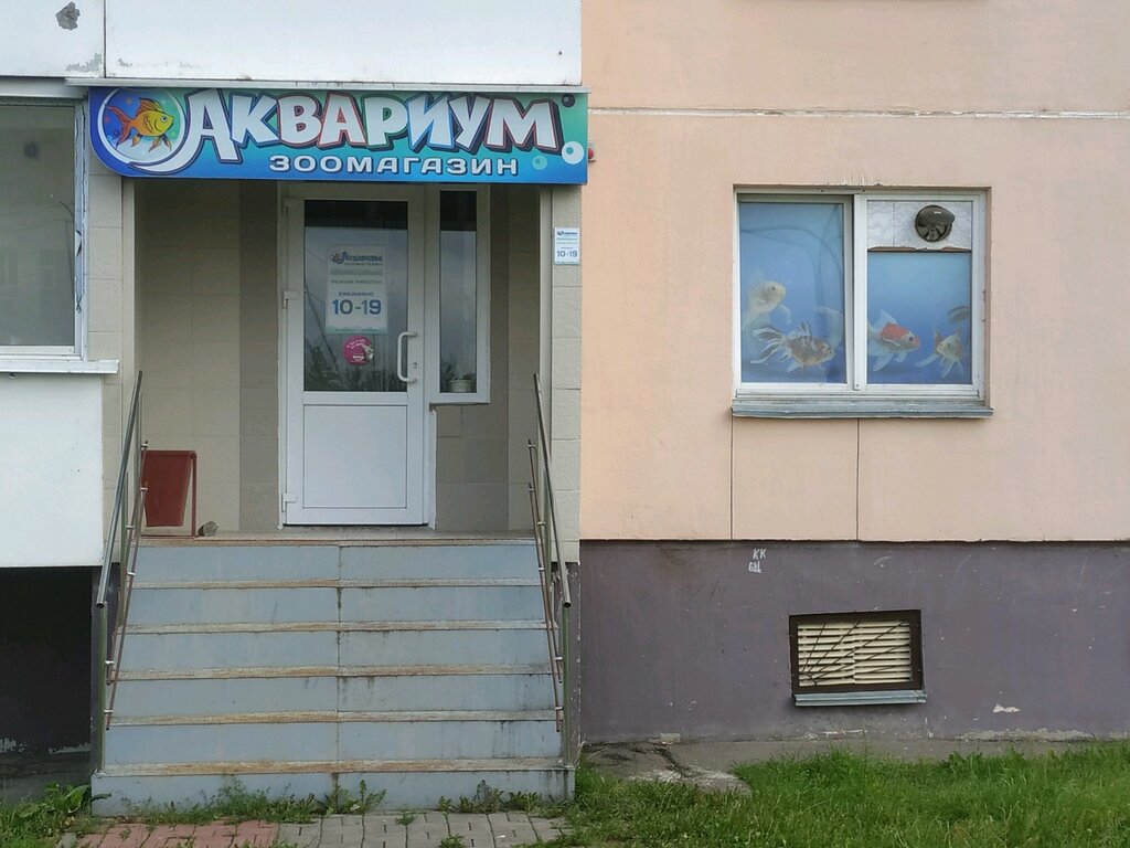 Магазин Аквариум В Витебске
