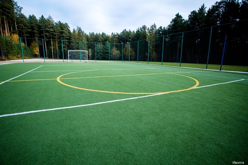 Фото Иволга