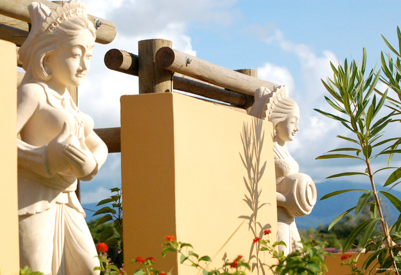 Фото Aanari Hotel & SPA