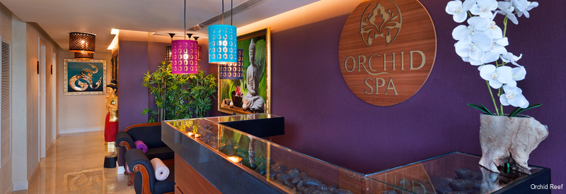 Фото Herbert Samuel The Reef Eilat