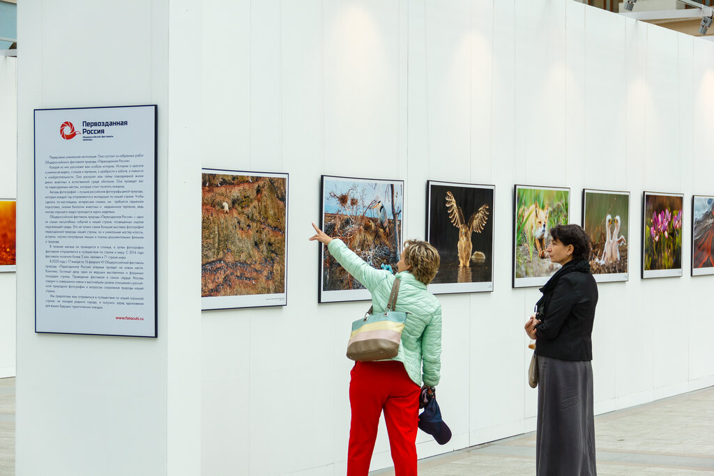 Детская площадка Общероссийский фестиваль природы "Первозданная Россия", Москва, фото