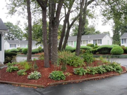 Фото Founder's Brook Motel and Suites