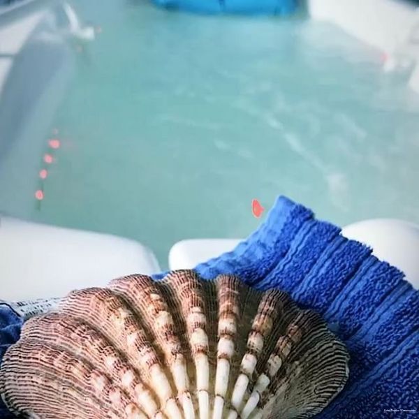 Фото Hotel Neptun