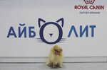 Айболит (ул. Лизы Чайкиной, 14, корп. 1), ветеринарная клиника в Петрозаводске