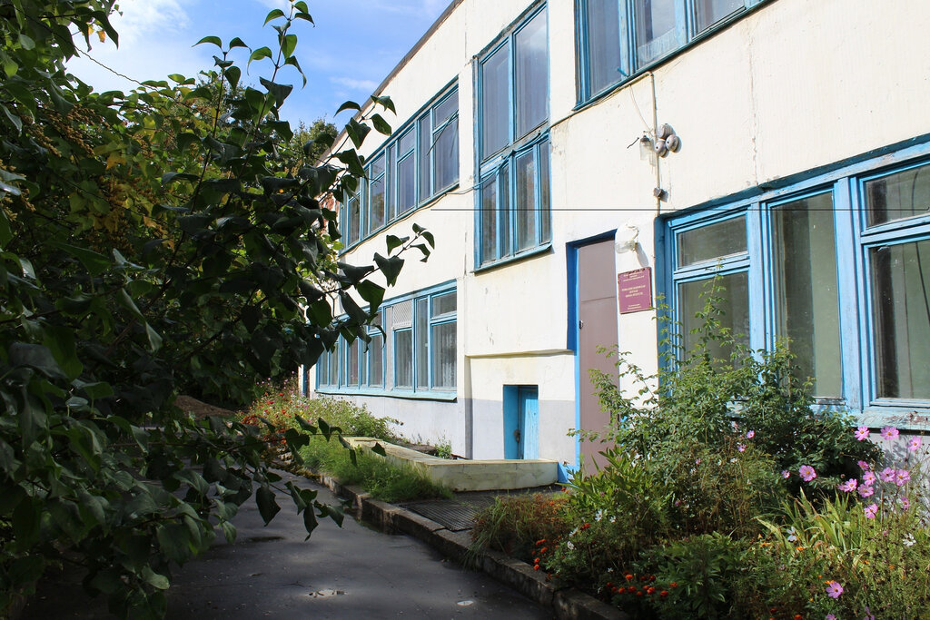 Escuela de artes МБУДО Детская школа искусств с. Новоалександрово, , foto