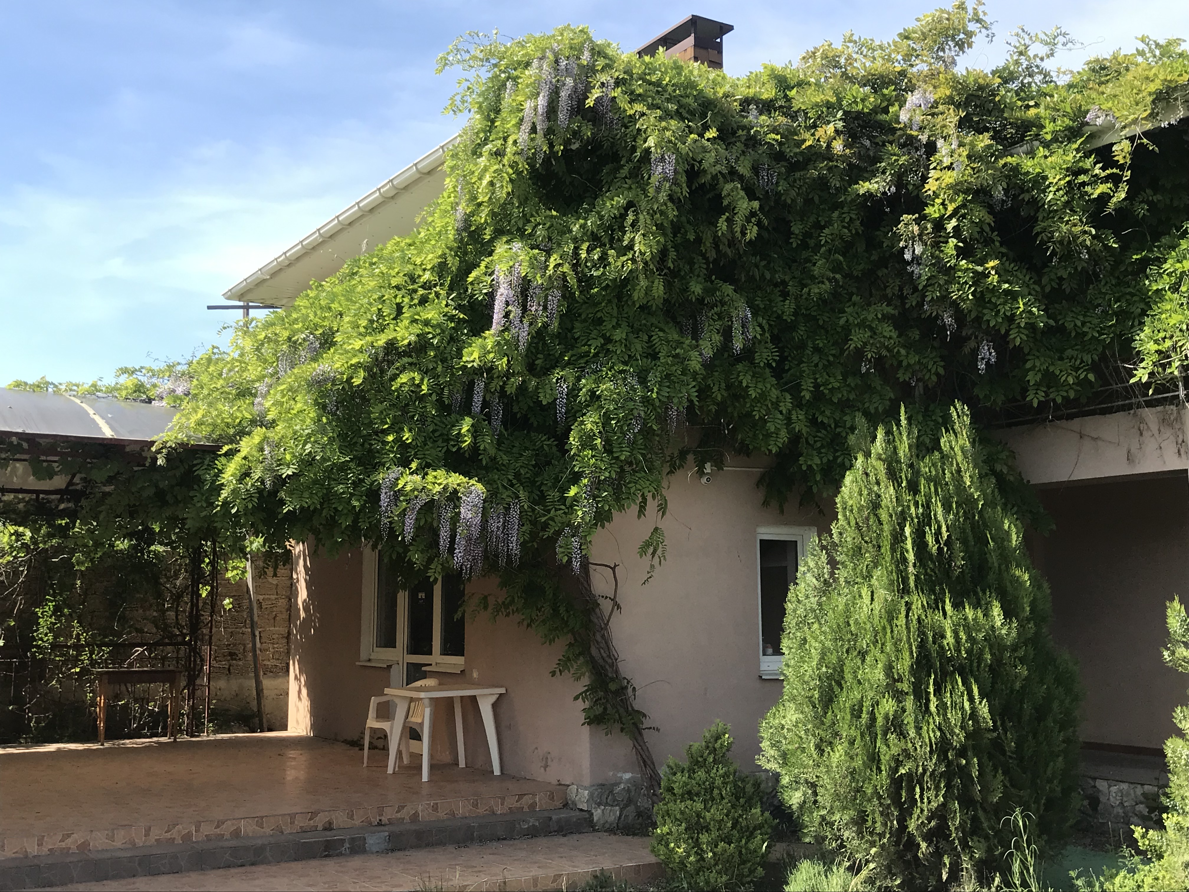 Фото Kapitan Vrungel