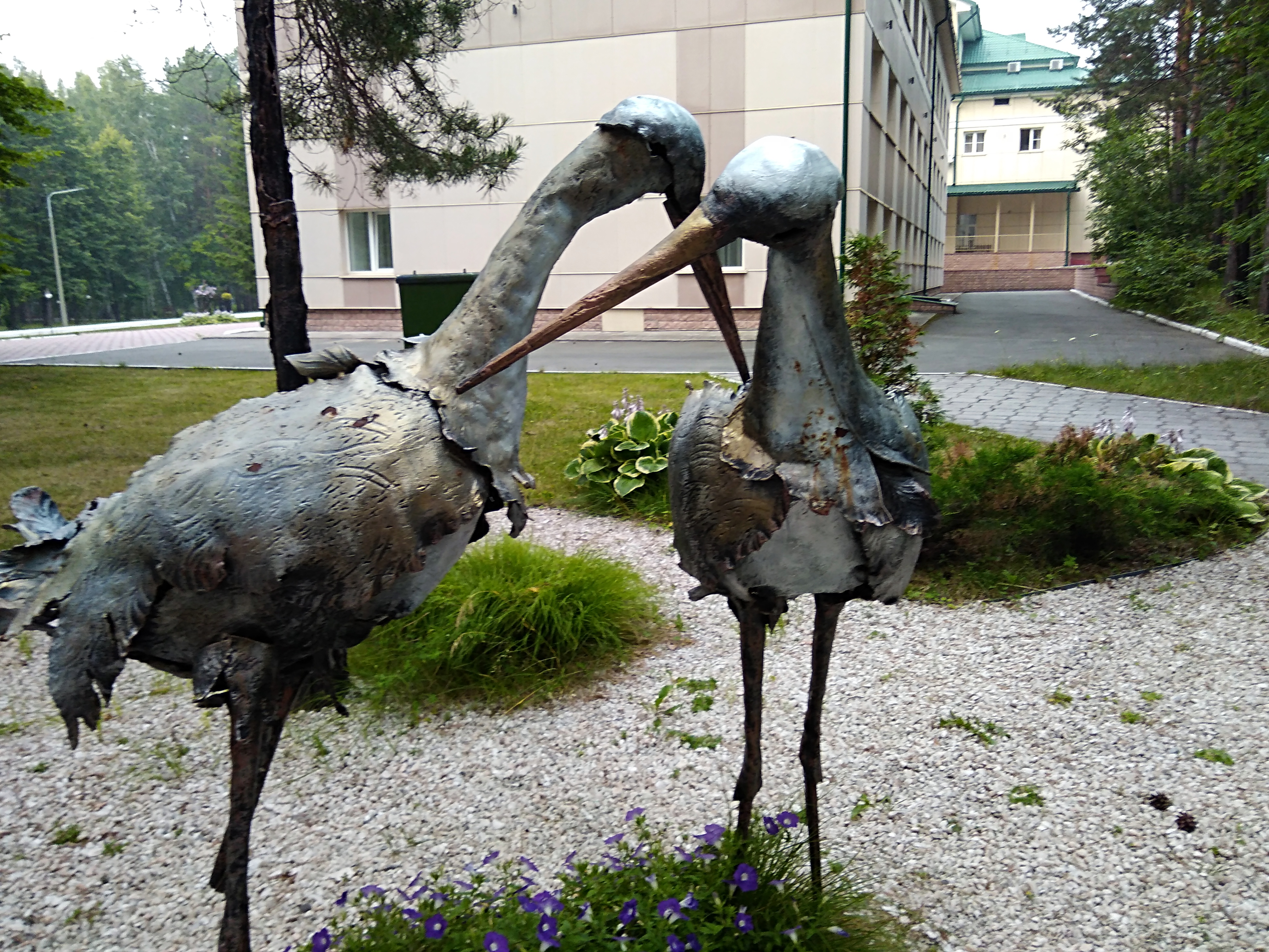 Фото Борвиха