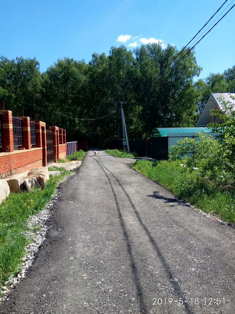 Gardeners' partnerships and societies Dnt Ilinskoye, Moscow and Moscow Oblast, photo