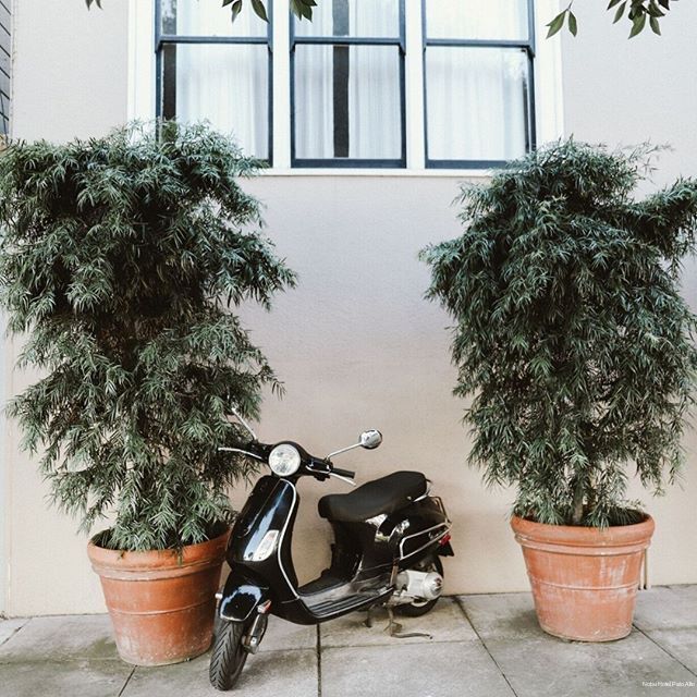 Фото Nobu Hotel Palo Alto