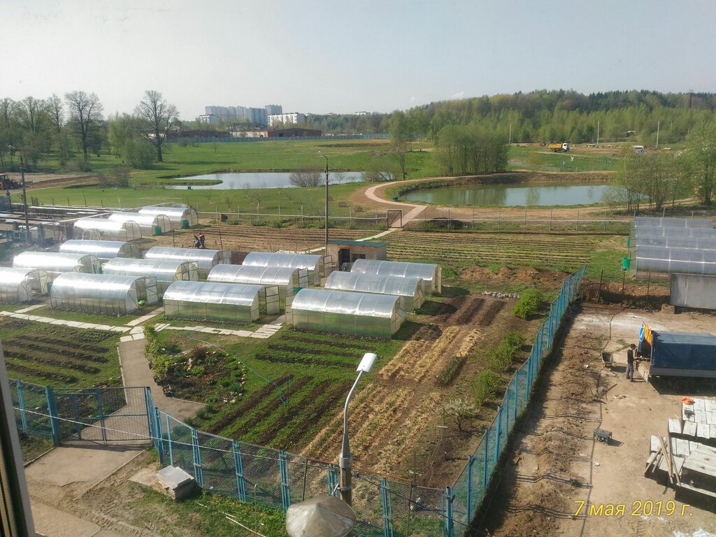 Нии двигателей солнечногорск