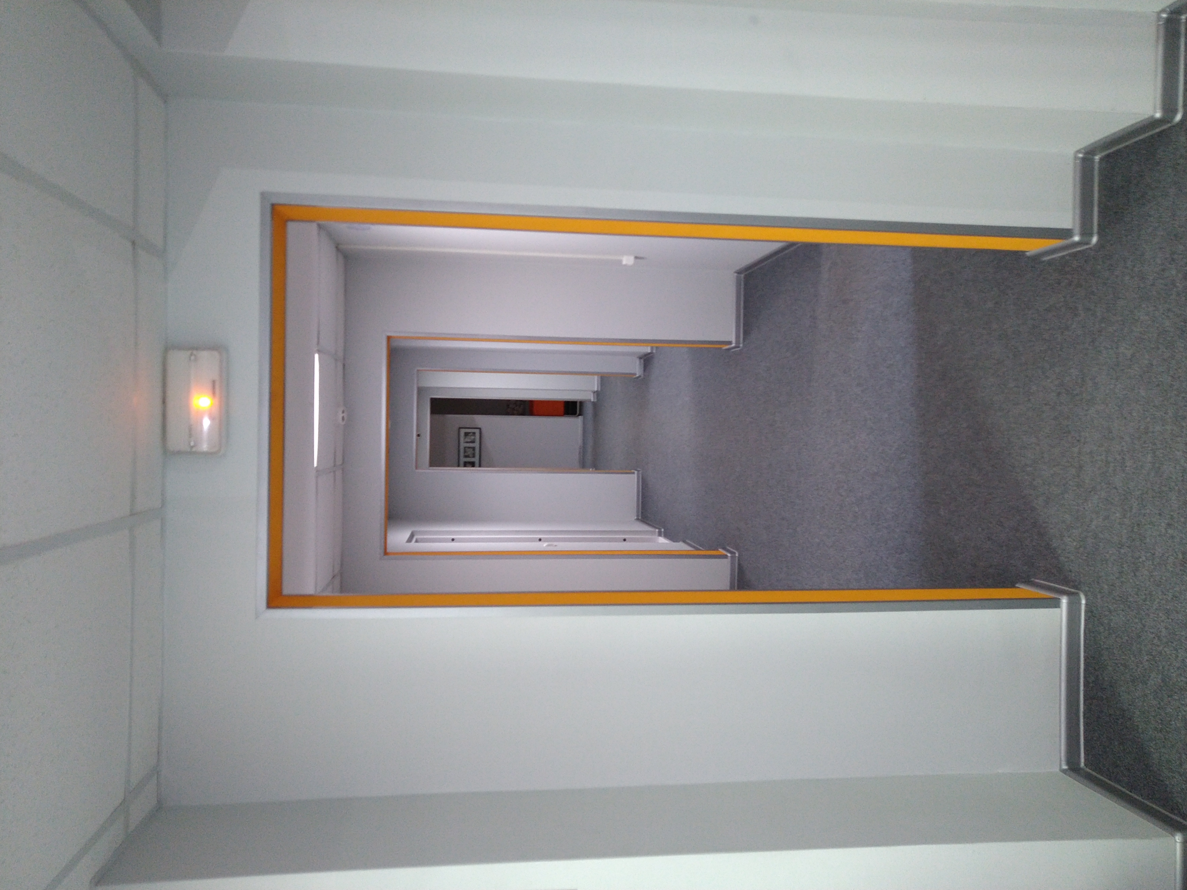 Фото Овсянка