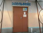 Podrostkovy klub Edelveys Doma tvorchestva № 1 (ulitsa Bugareva, 6) ، نوادي الأطفال والمراهقين
