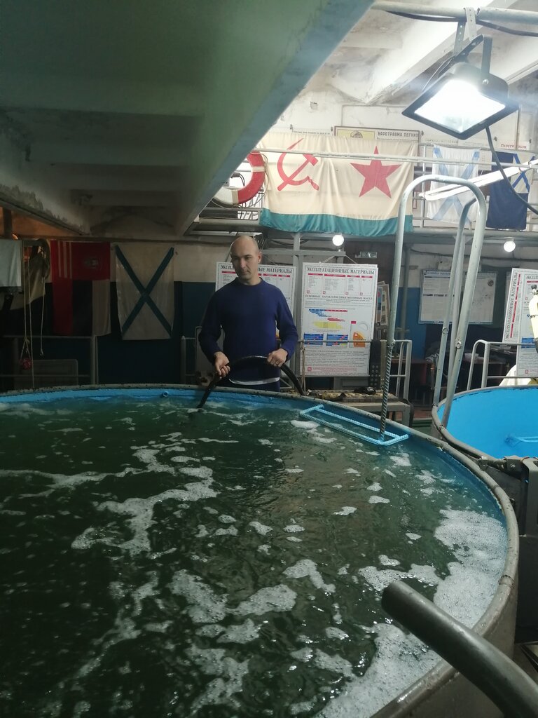 Centro educativo Volgogradskaya morskaya shkola, , foto