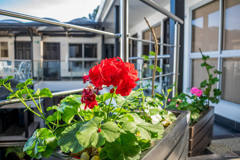 Фото Montes de la Castellana Hotel Boutique