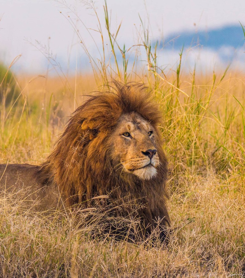 Фото Four Seasons Baltimore