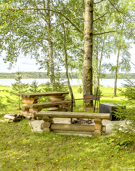 Фото Белая цапля