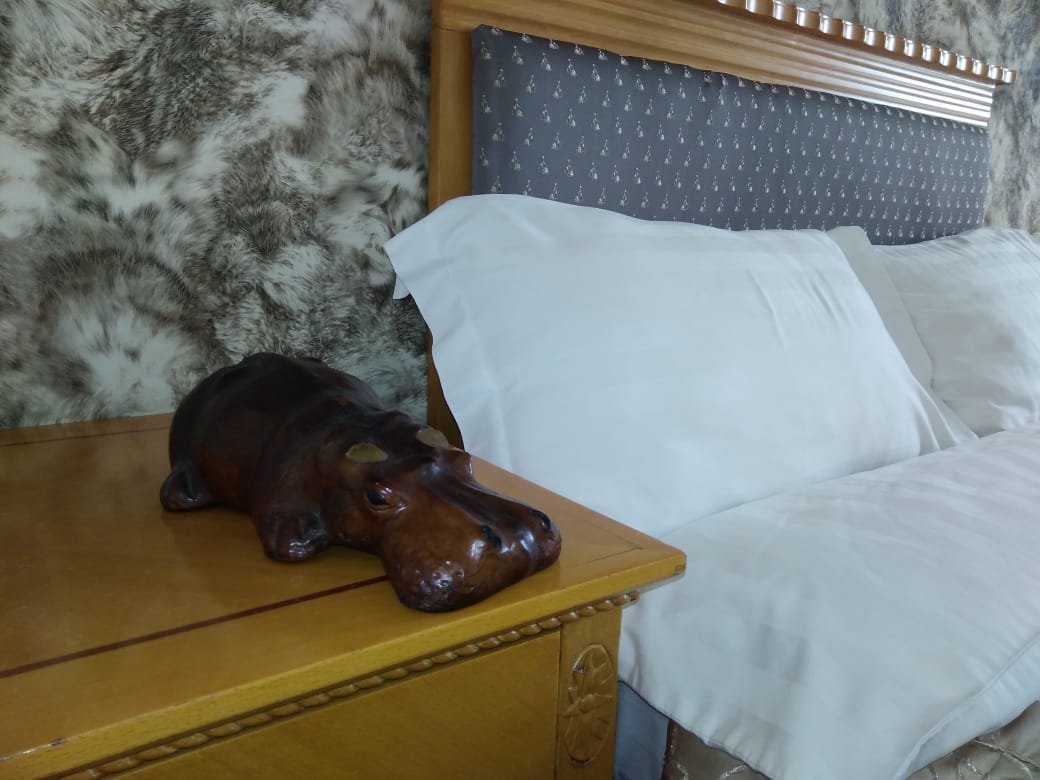 Фото Бумеранг