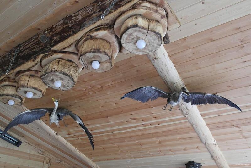 Фото У Борисыча