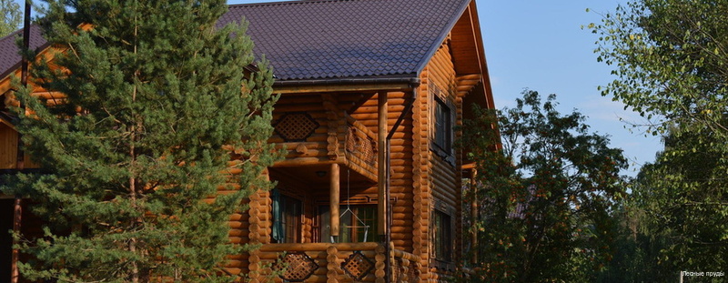 Фото Лесные пруды