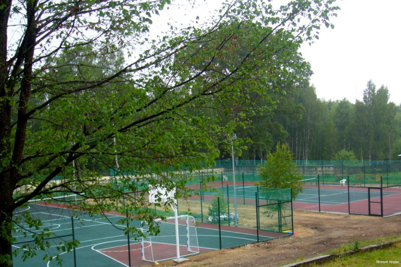 Фото Лесные пруды