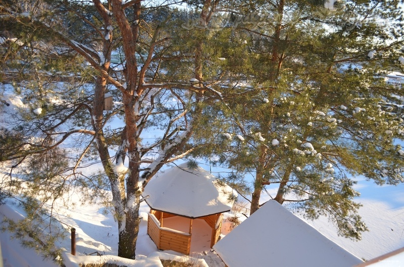 Фото Графские пруды