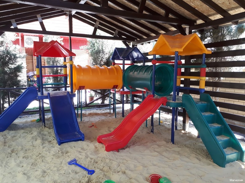 Фото Магнолия