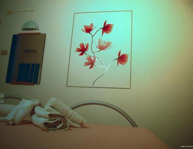 Фото Hotel Villa Mirna