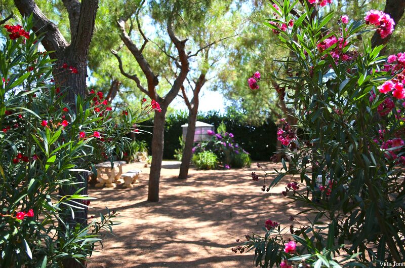 Фото Villa Tonia