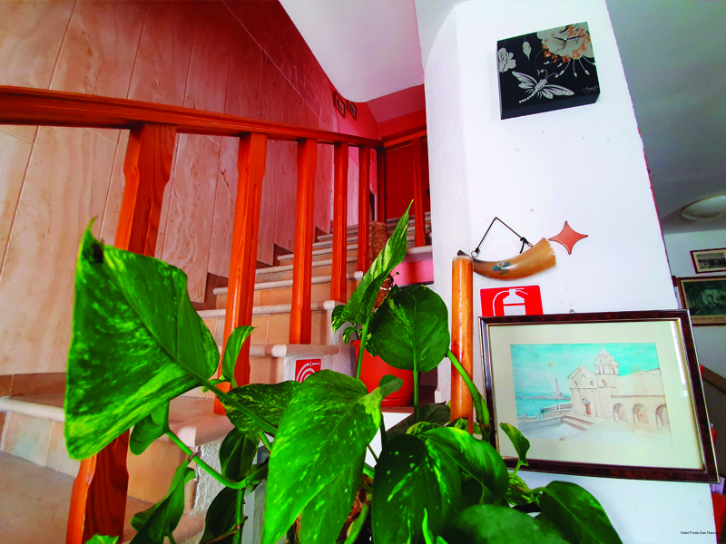 Фото Hotel Punta San Francesco