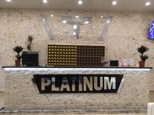 Platinum (Surgutskaya Street, 1/11), sports and entertainment center