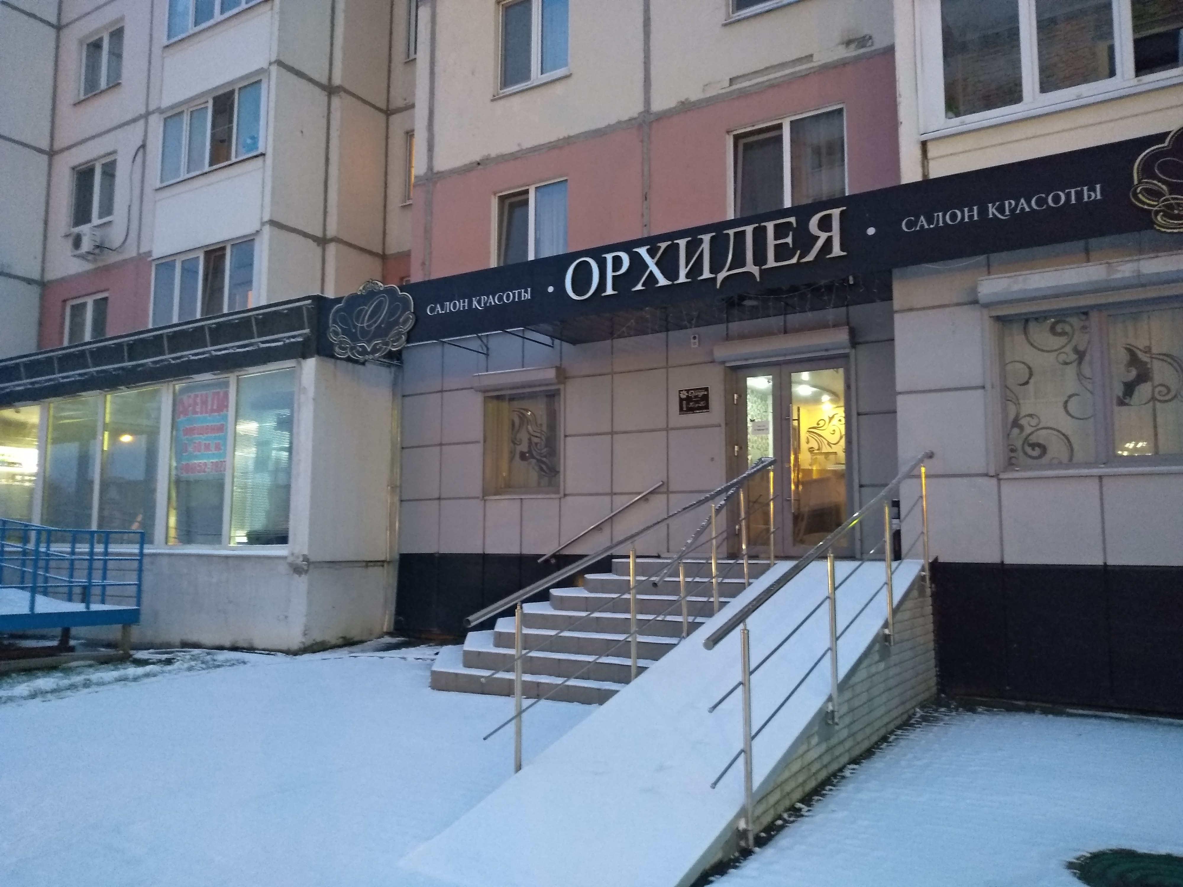 Орхидея ул баскакова 14 фото