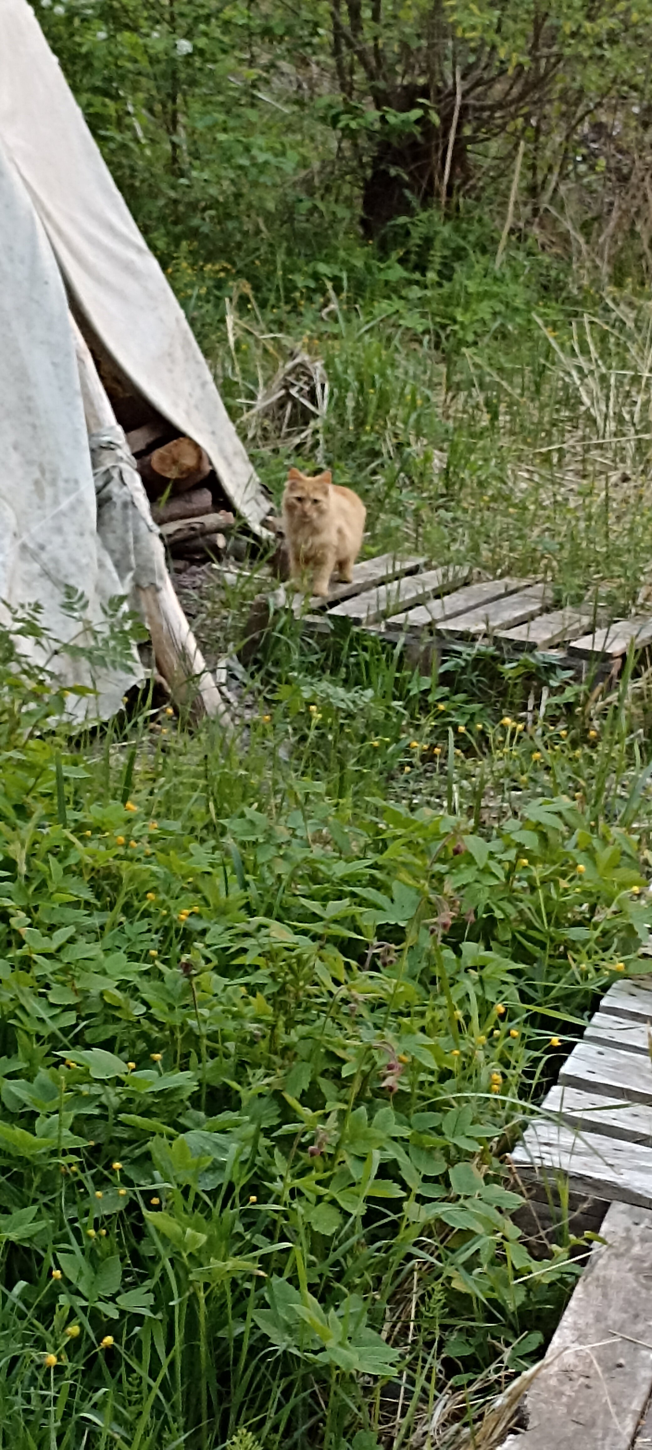 Фото Остров