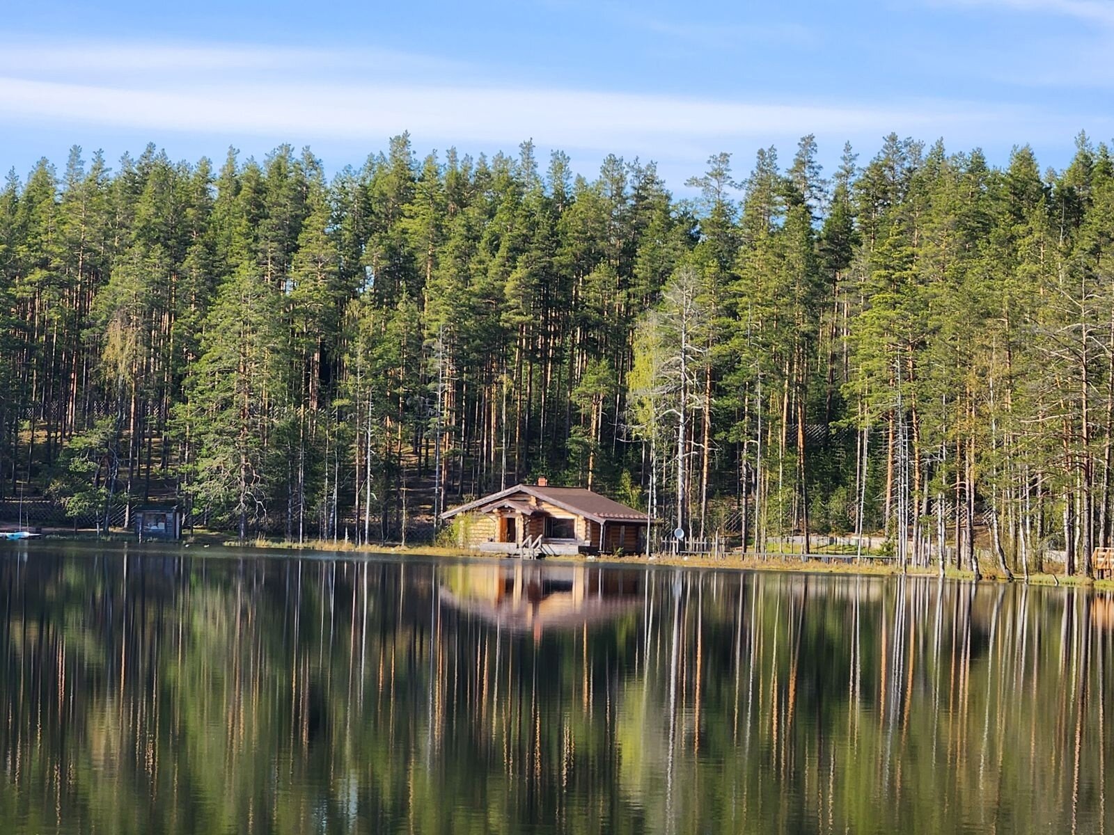 Фото Шишки на Лампушке